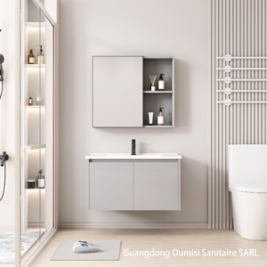 Meuble de Salle de Bain Suspendu 80 cm avec Armoire de Toilette à Miroir (700x600mm) - Gris Moderne